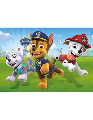 Patrulla Canina Supercolor Patrol-2 x 20...