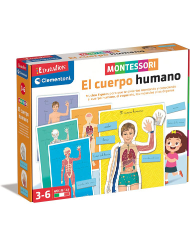 Montessori - El Cuerpo Humano Juguete Educativo