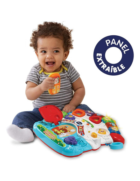 VTech Correpasillos Andandin 2 en 1| Juguete Infantil
