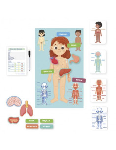 Aprendo en positivo el cuerpo humano 2